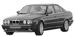 BMW E34 P2229 Fault Code